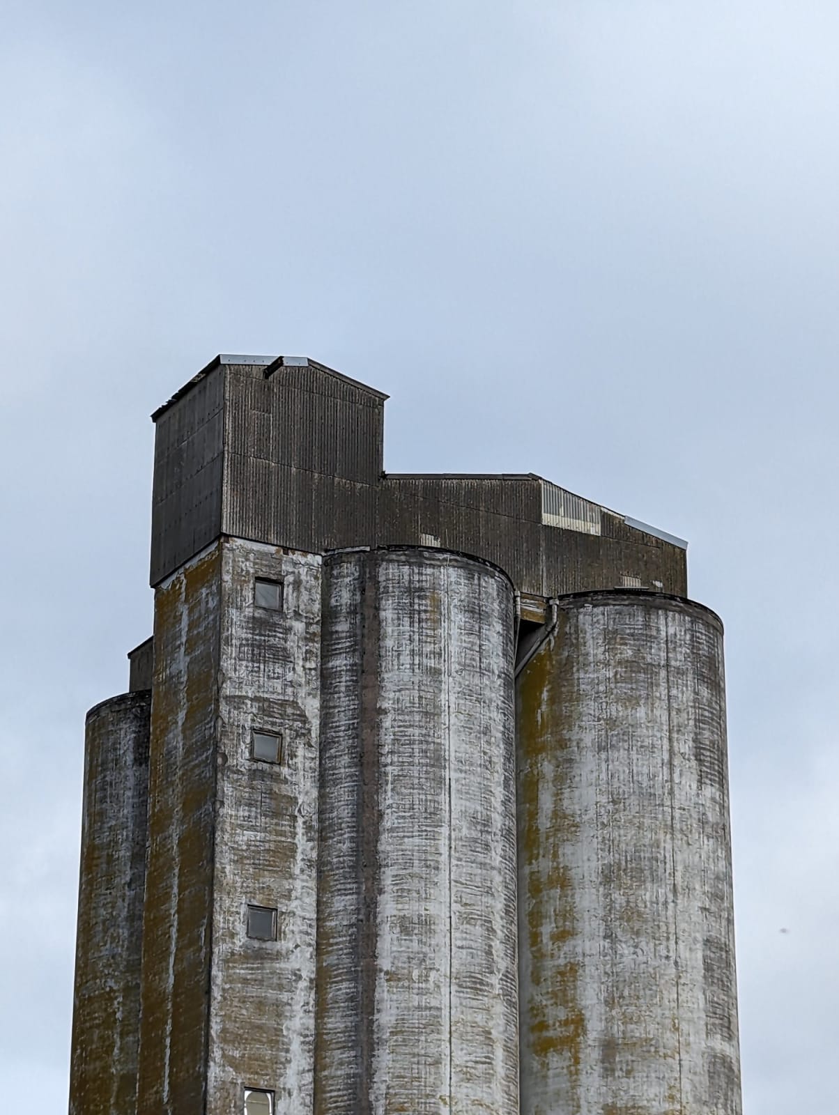 Sinéad Reilly, Dockland
