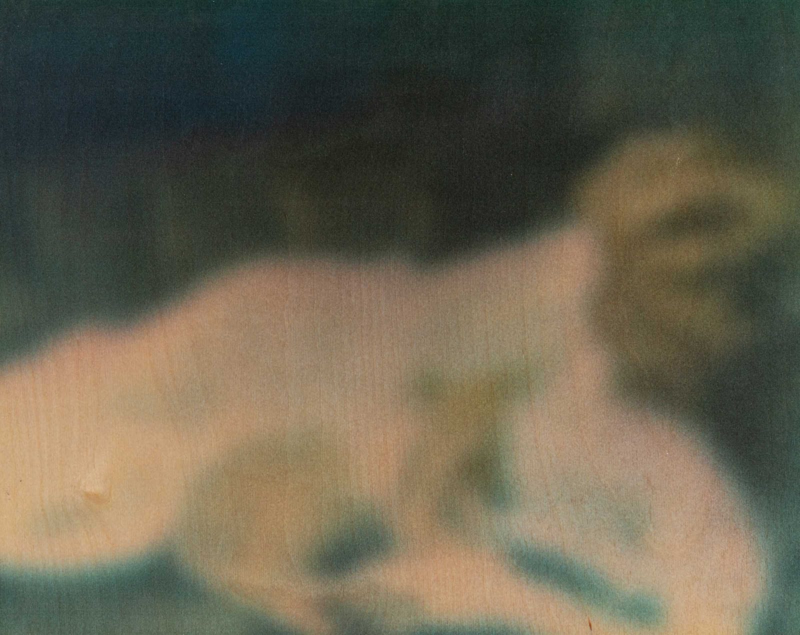 Samy Elias, Untitled, 2020