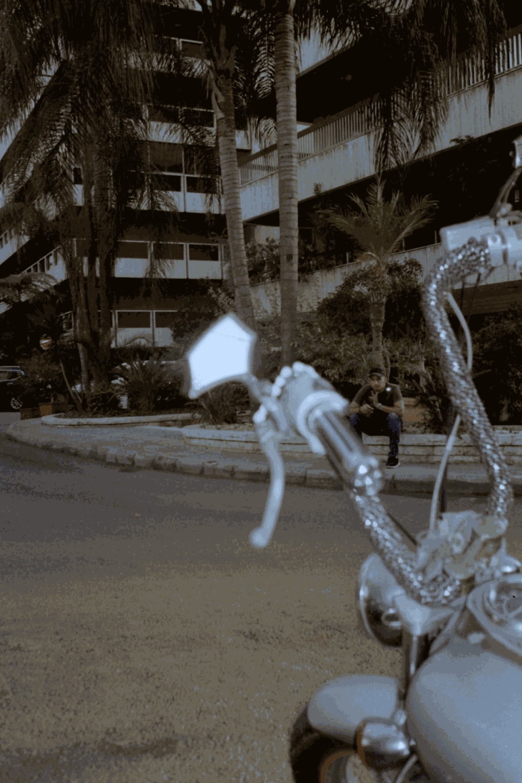 Dania Hany, Peripheral, 2019