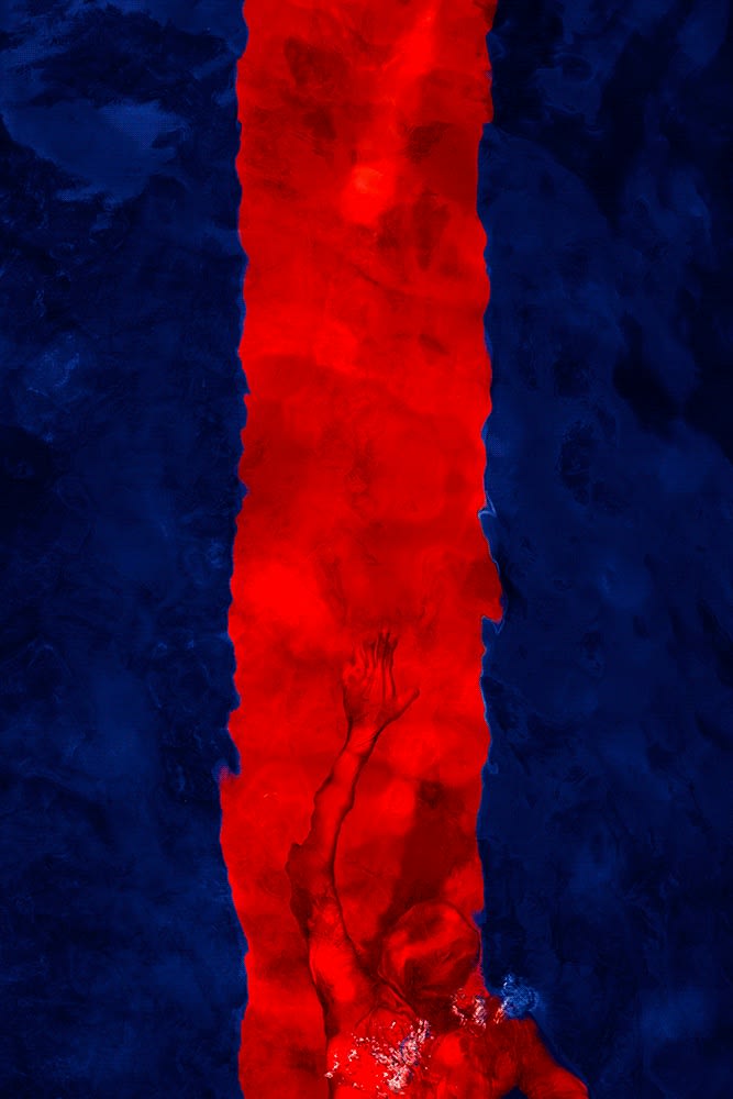Barbara Cole , Playing With Fire , 2013