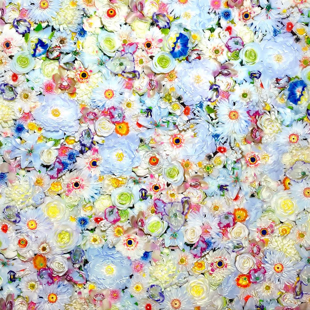 Tetsutaro Kamatani, Flower White, 2020