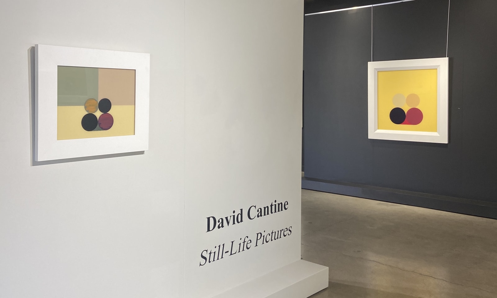David Cantine - Still-Life Pictures