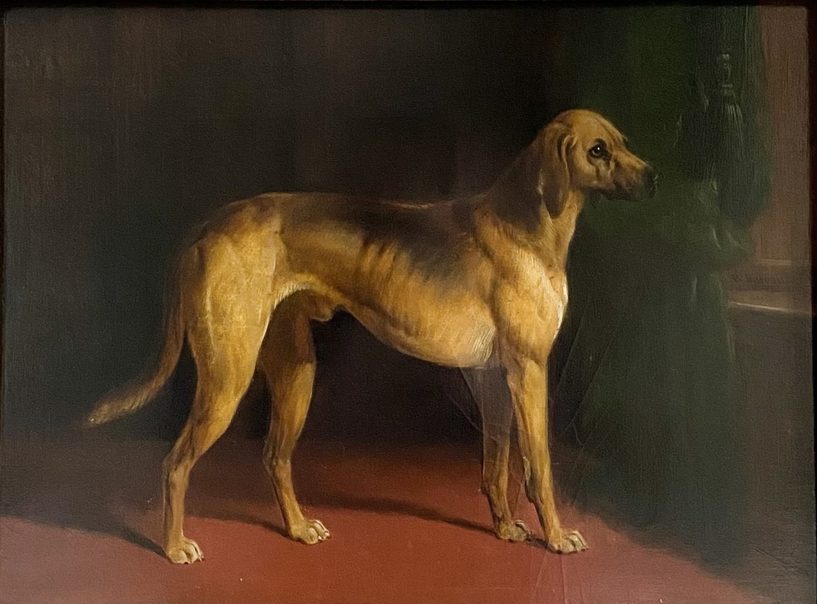 A hound in an interior by William Barraud (1810-1850)