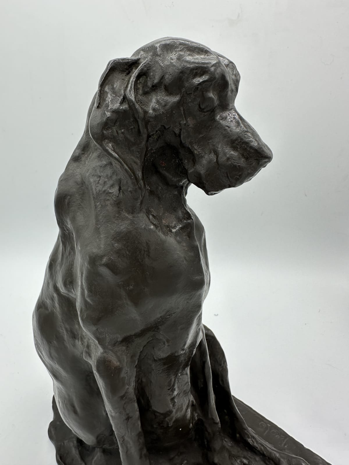 Prince Paul Troubetzkoy (1866-1938), A late 19th century bronze animalier figure of a seated hound , after Prince Paul Troubetzkoy (1866-1938)
