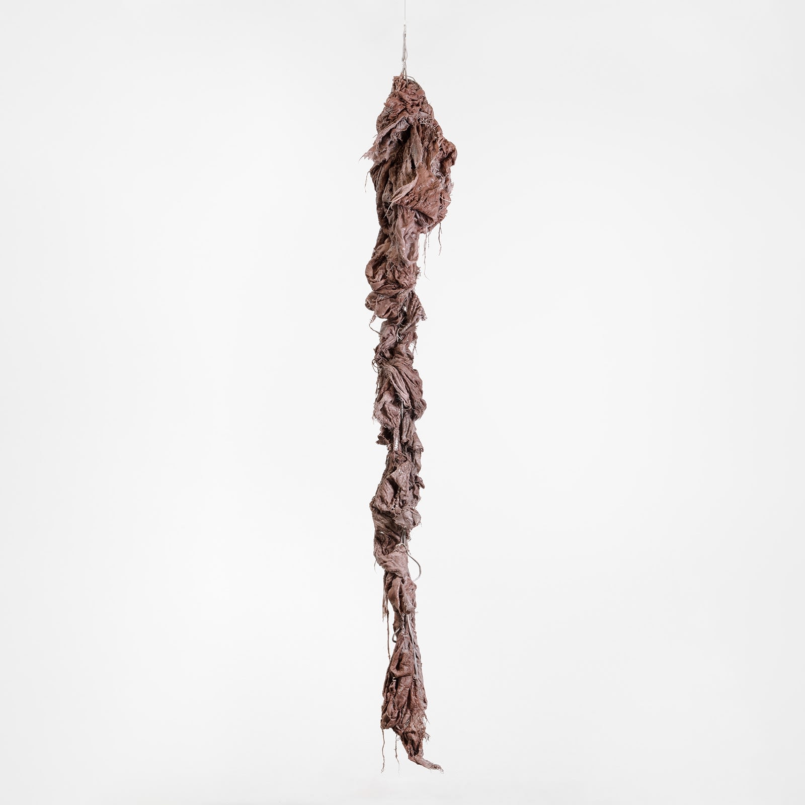 Mire Lee, Black Sun: Tentacle #1 (Dry), 2023