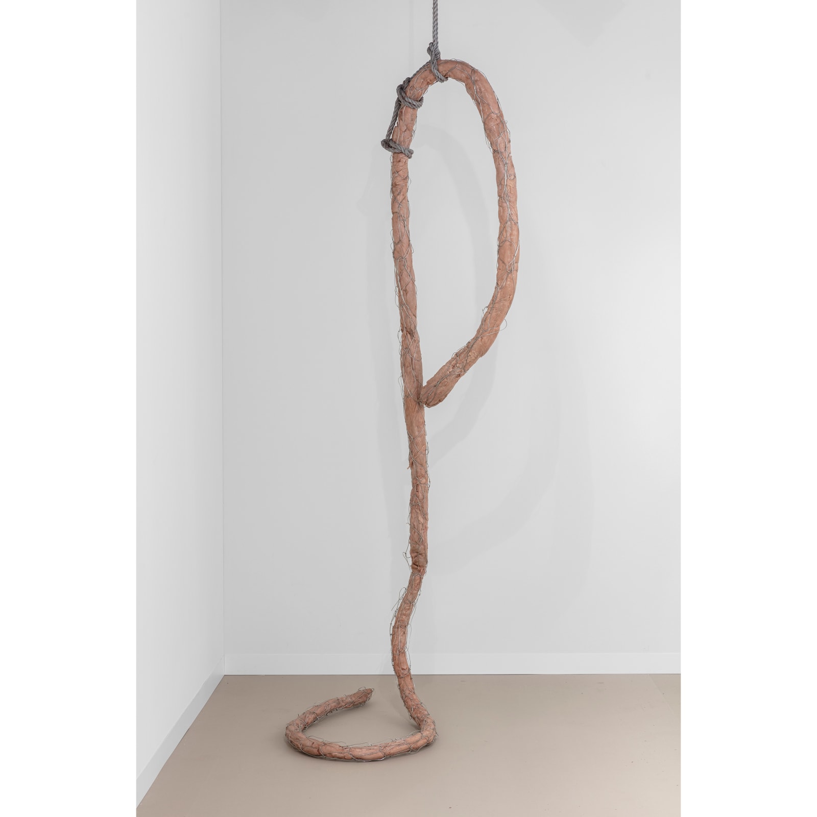 Mire Lee, Tentacle from Open Wound 1, 2024