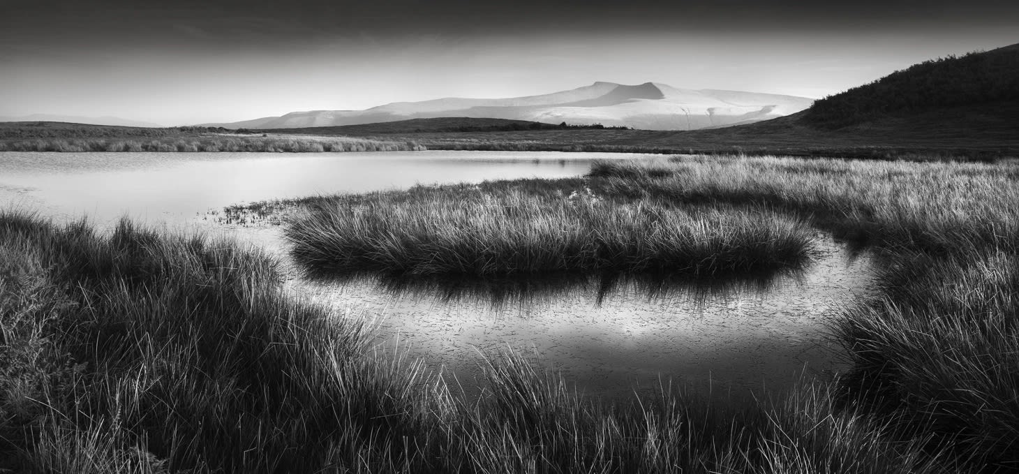 Sean Crawford