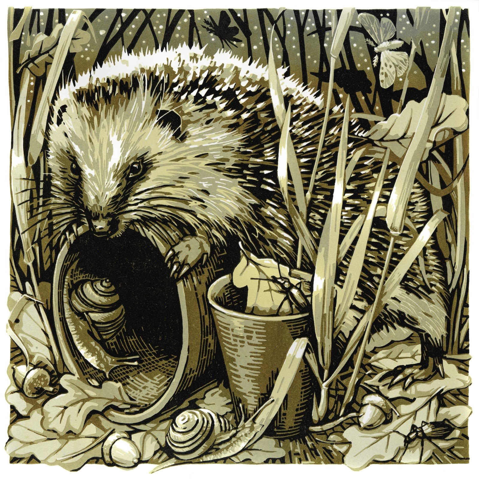 Exhibiting Printmakers, Martin Truefitt-Baker