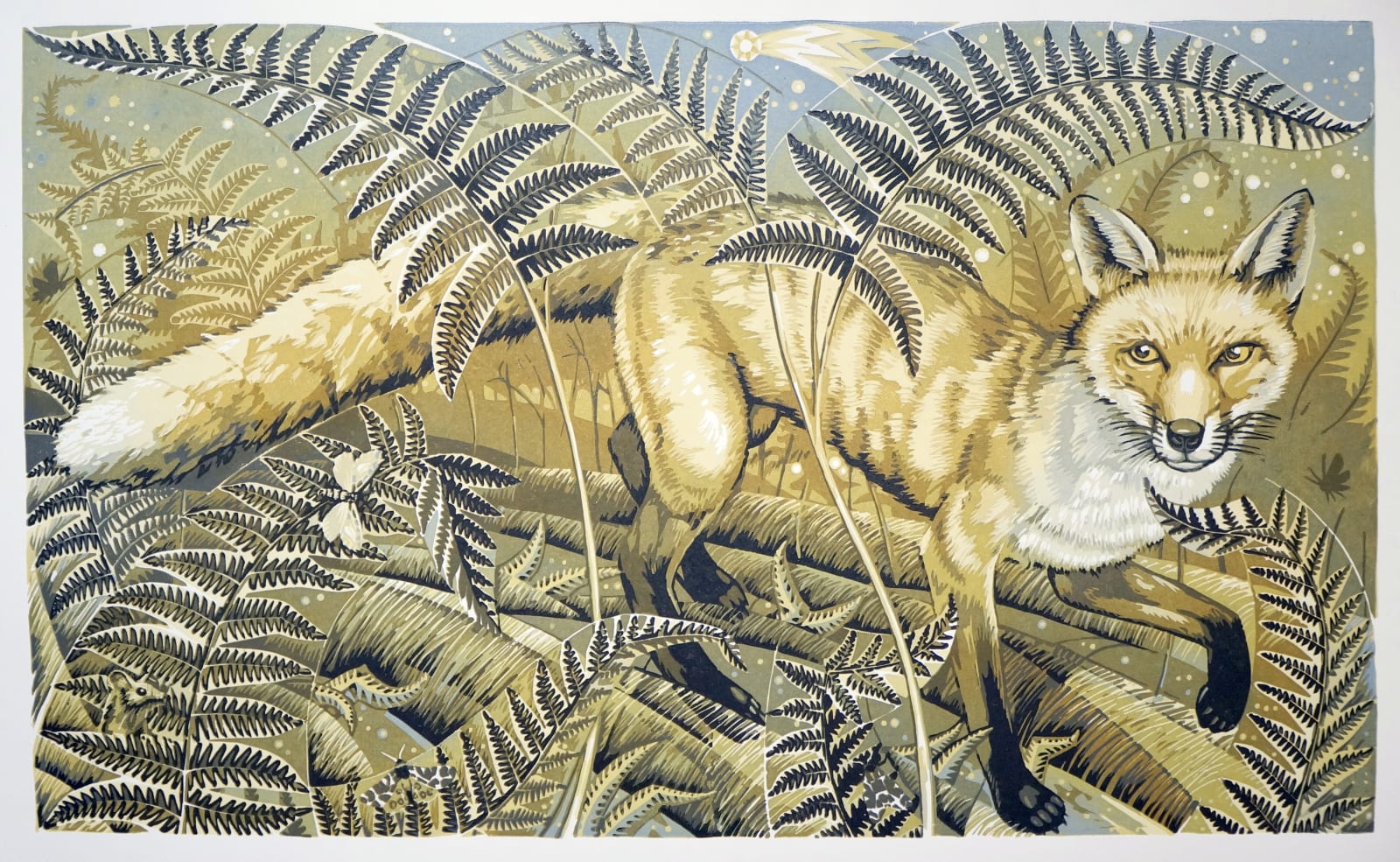 Exhibiting Printmakers, Martin Truefitt-Baker