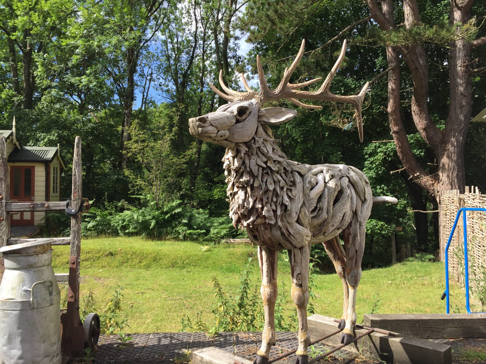 Exhibiting sculptors, Teak Driftwood Sculpture by A.G.