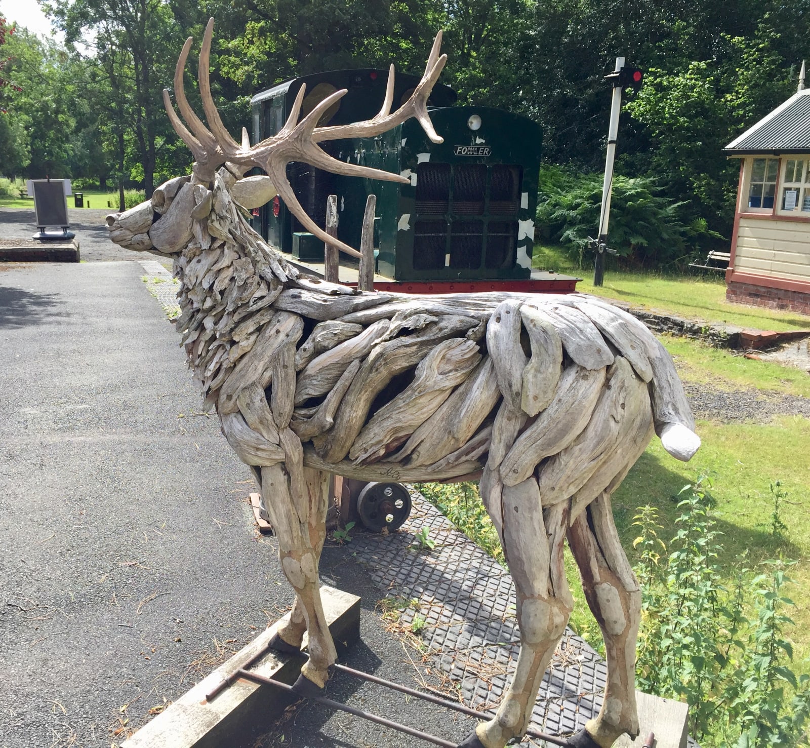 Exhibiting sculptors, Teak Driftwood Sculpture by A.G.