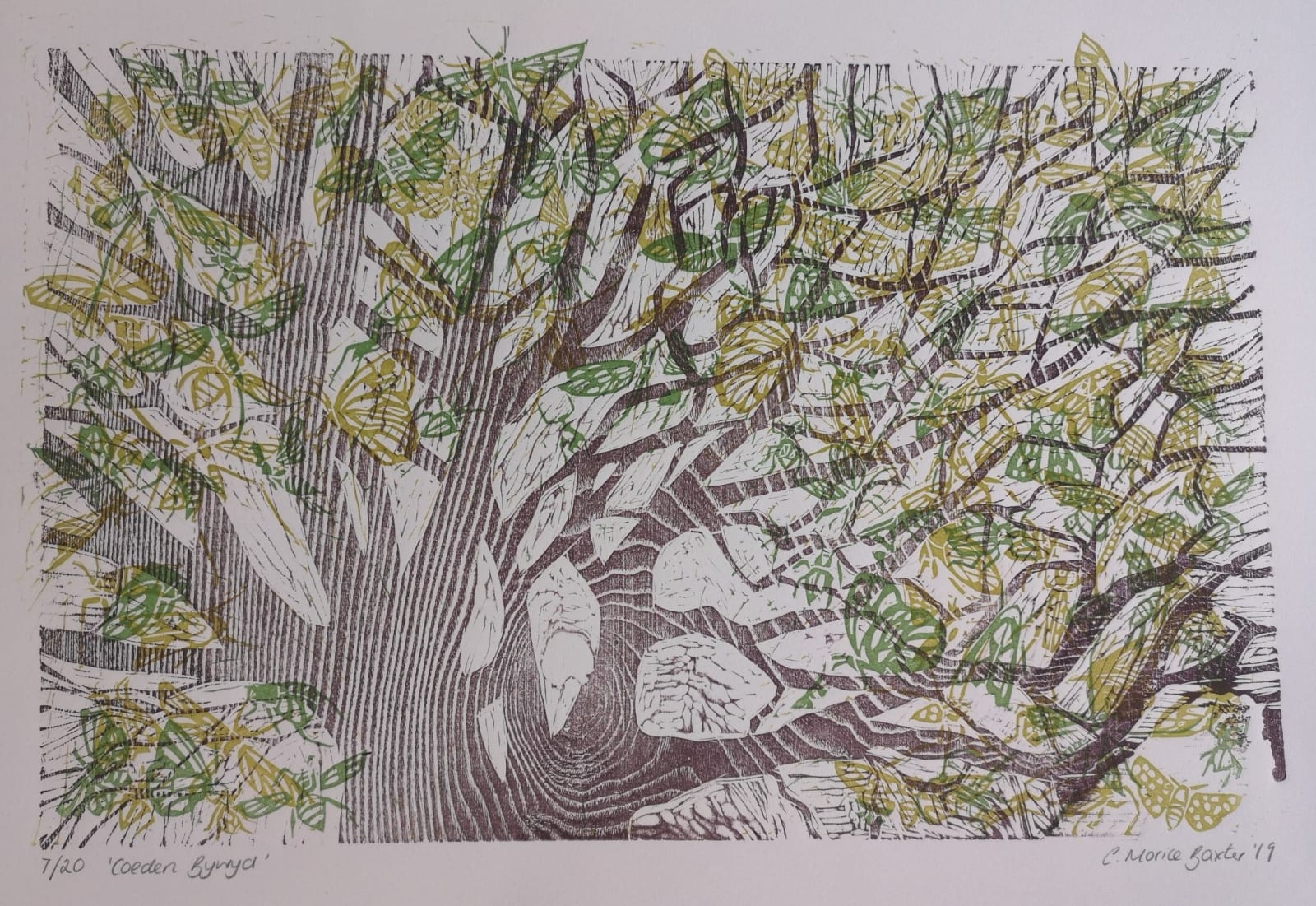 Exhibiting Printmakers, Charlotte Baxter Display photograph