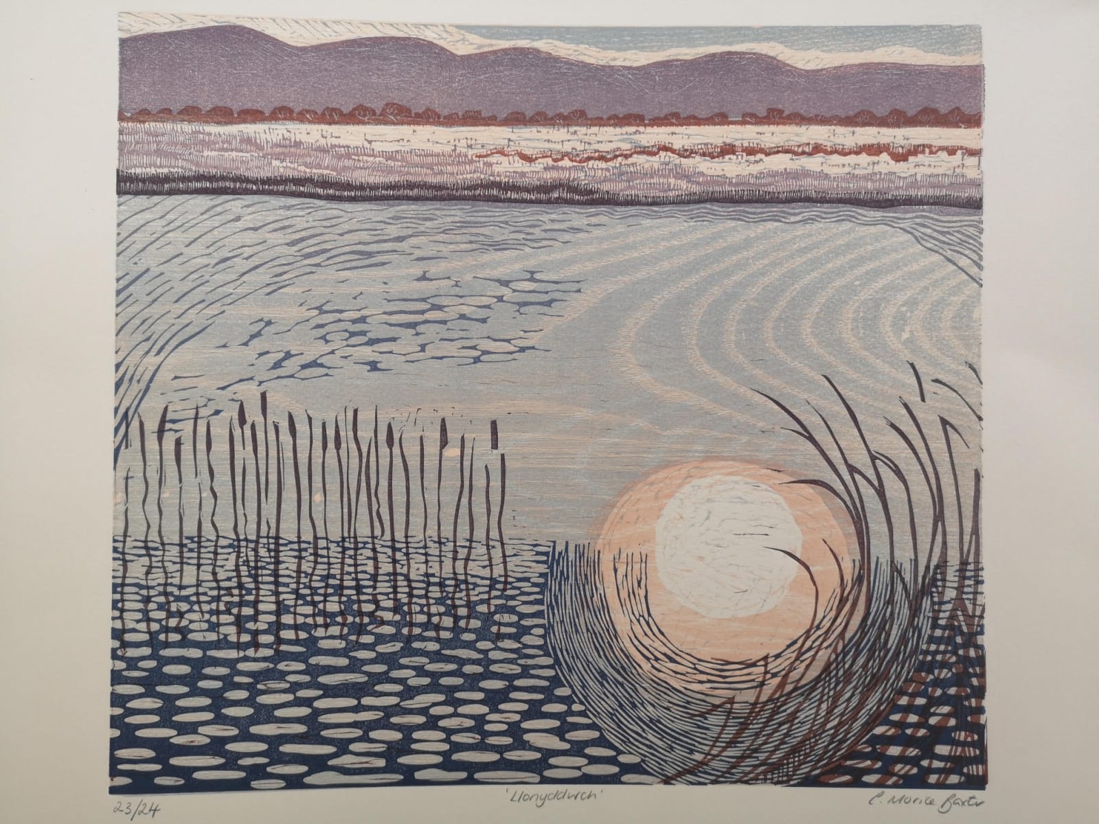 Exhibiting Printmakers, Charlotte Baxter Display photograph