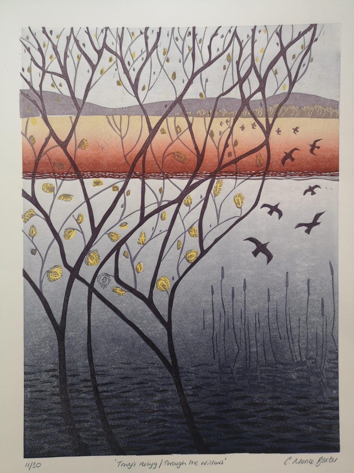Exhibiting Printmakers, Charlotte Baxter Display photograph