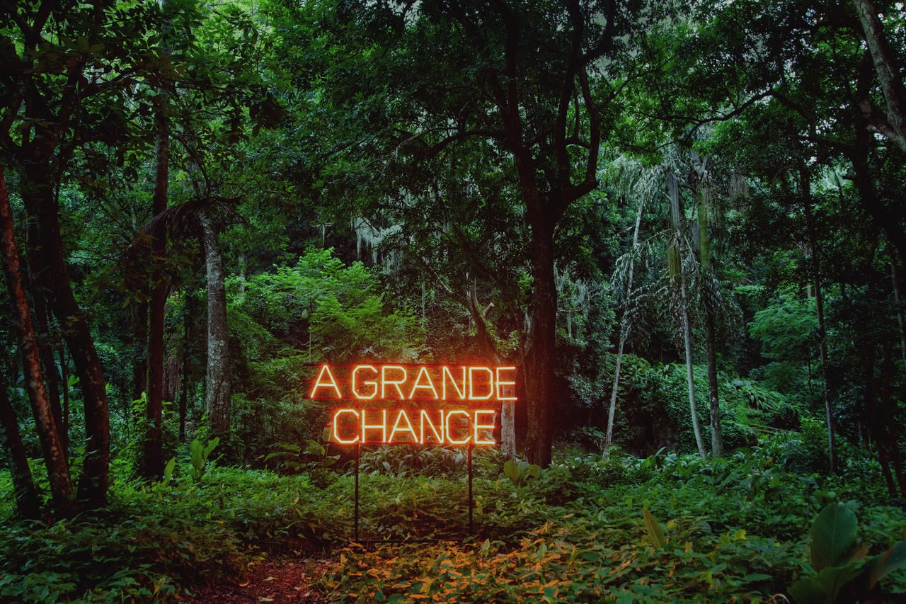 Regina Parra, Chance, 2015