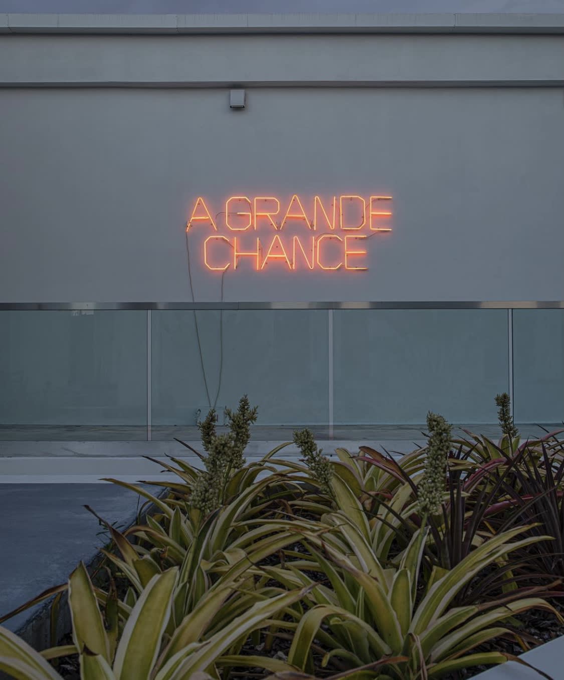 Regina Parra, Chance, 2015