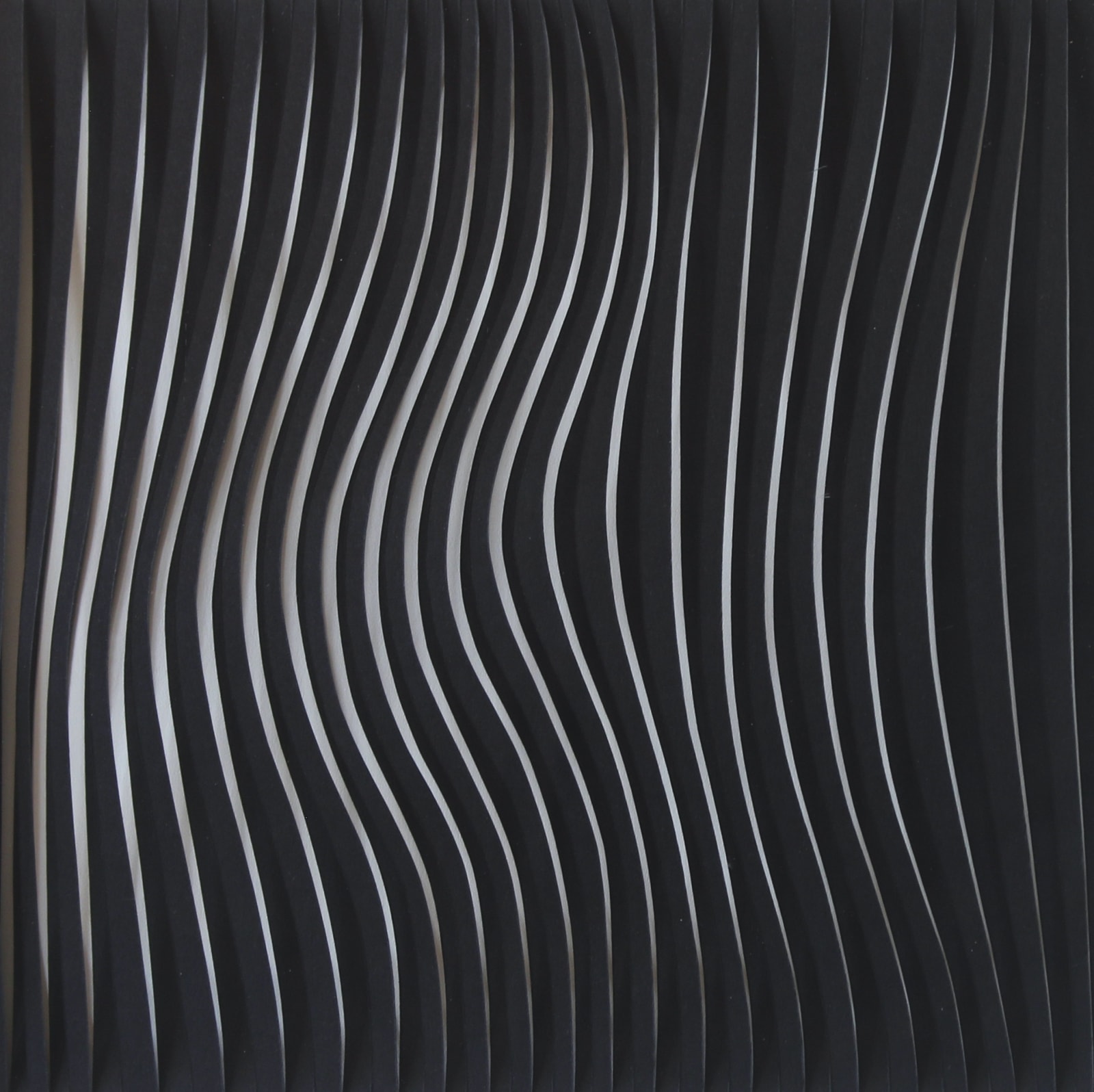 SACHIN TEKADE, Mrugajal 3 , 2023