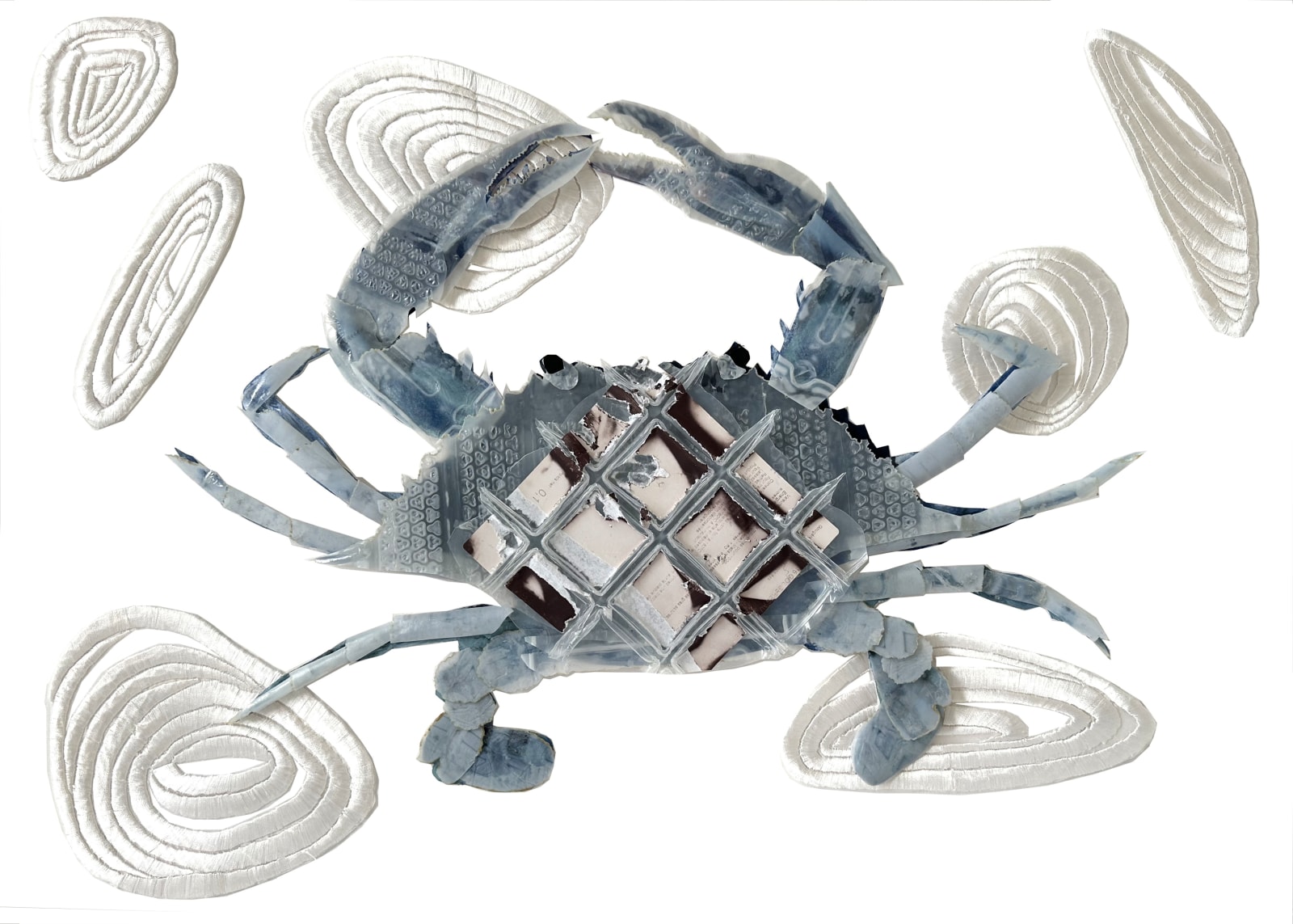 Karen Nicol, Sequinned Sea King