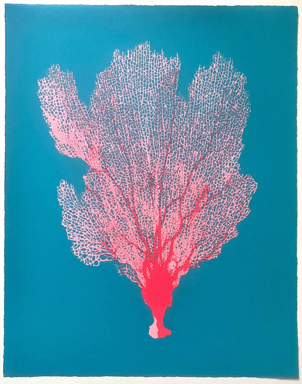 Jo de Pear, Sea Fan
