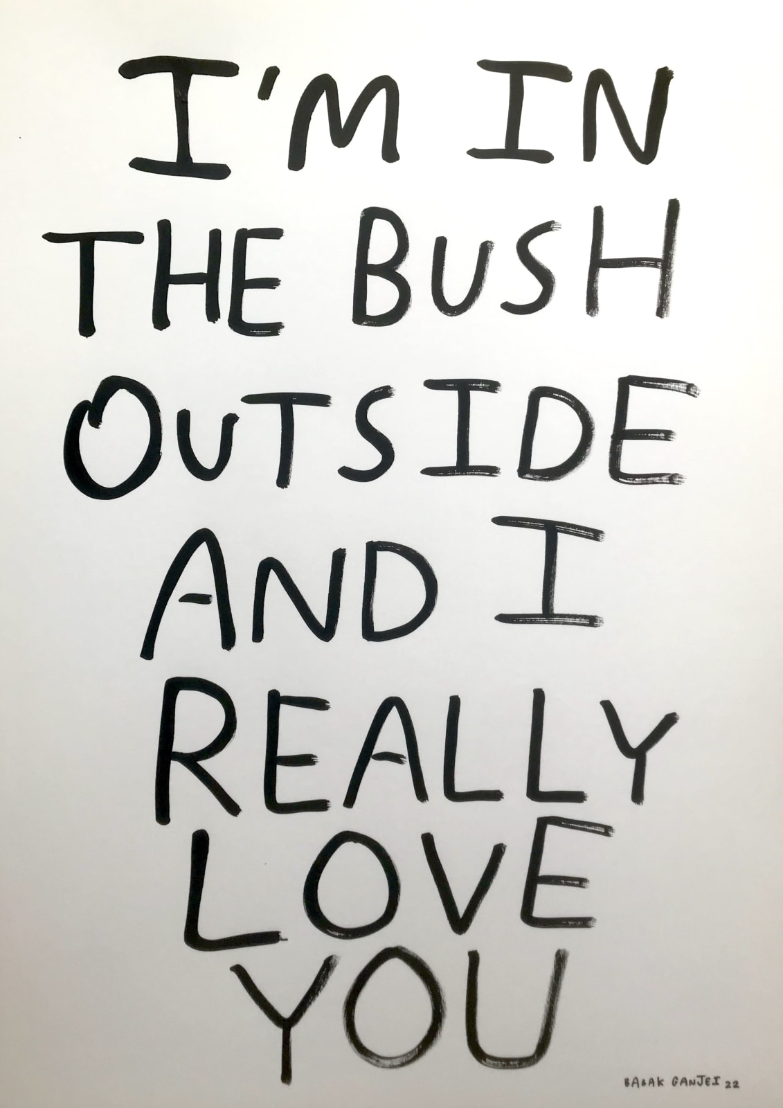 Babak Ganjei, I'm in the Bush Outside