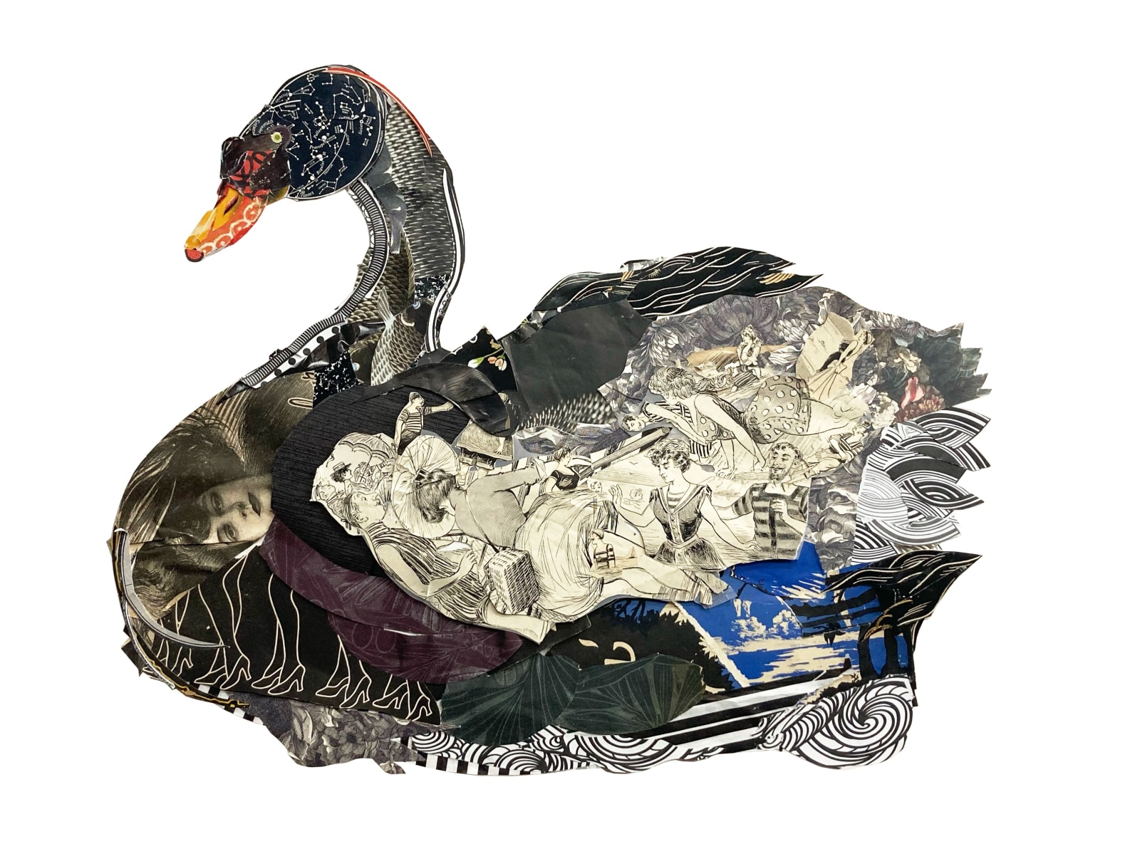 Peter Clark, Two of a Kind Black Swan