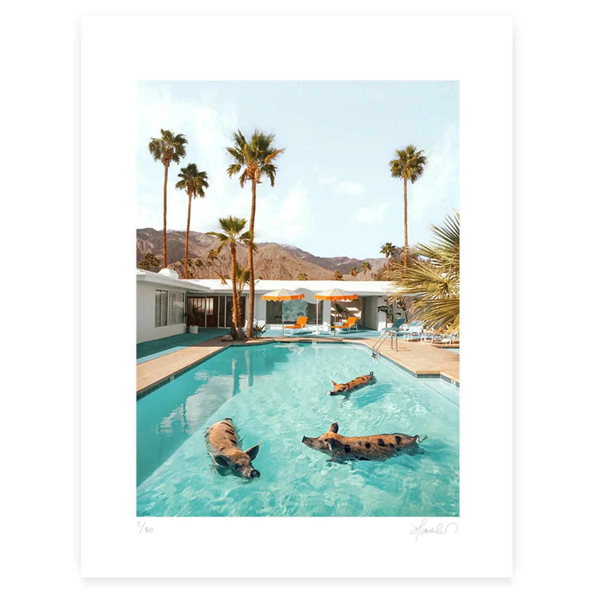 Paul Fuentes, Pig Pool Party