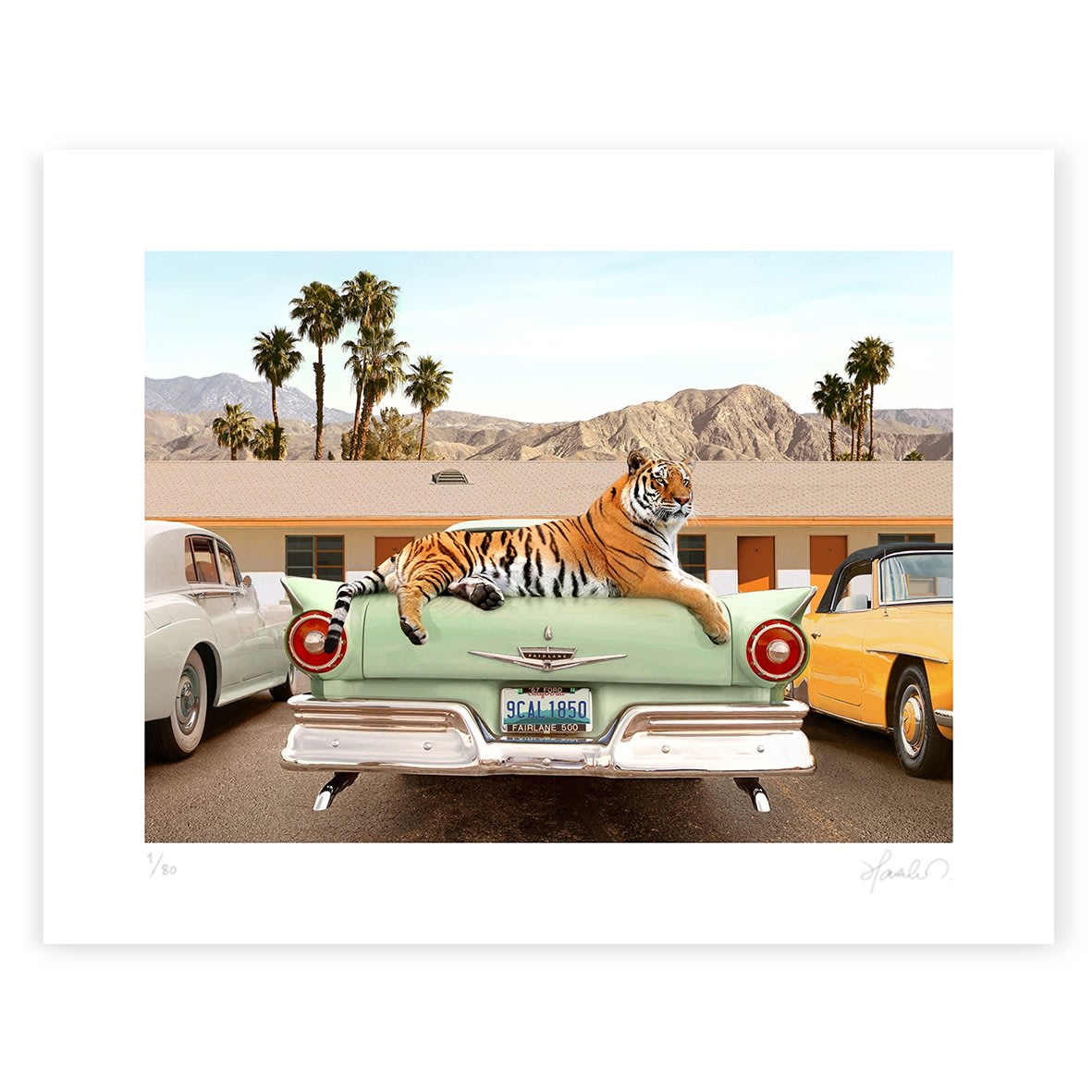 Paul Fuentes, Tiger Motel