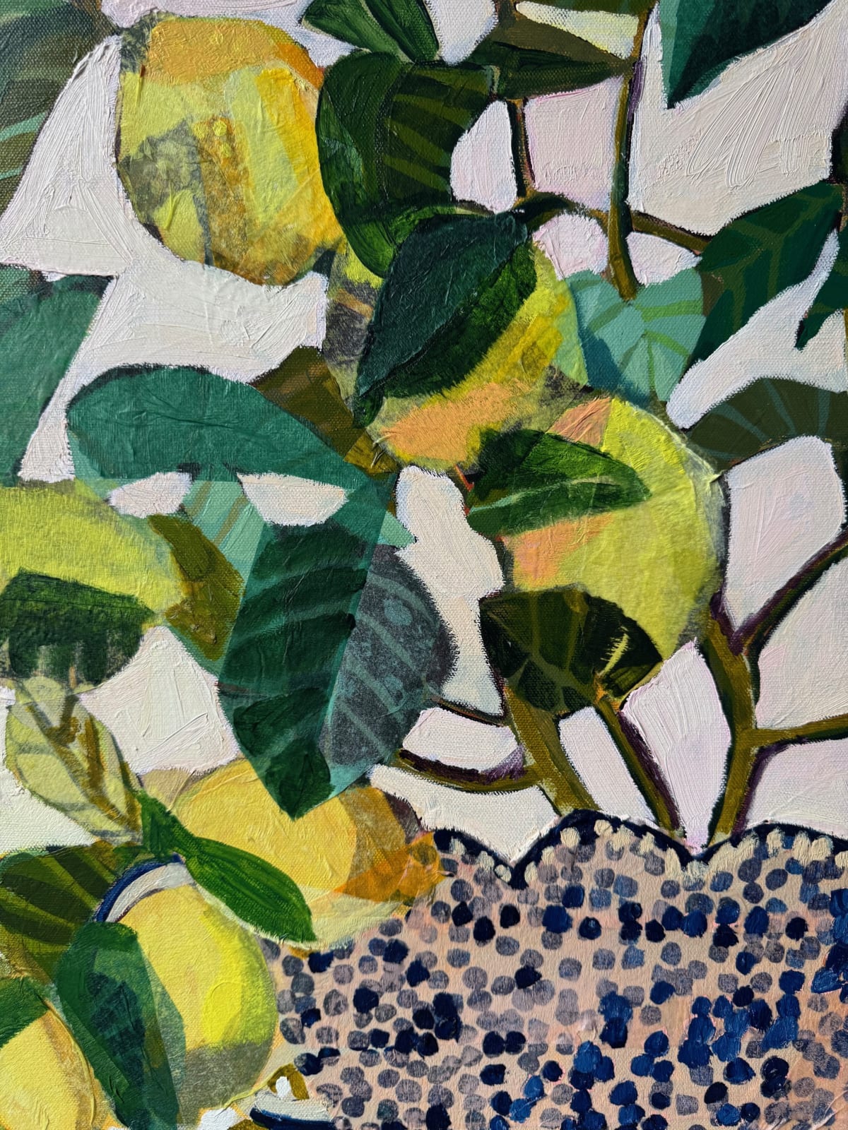 Maria Fletcher, Mediterranean Lemons