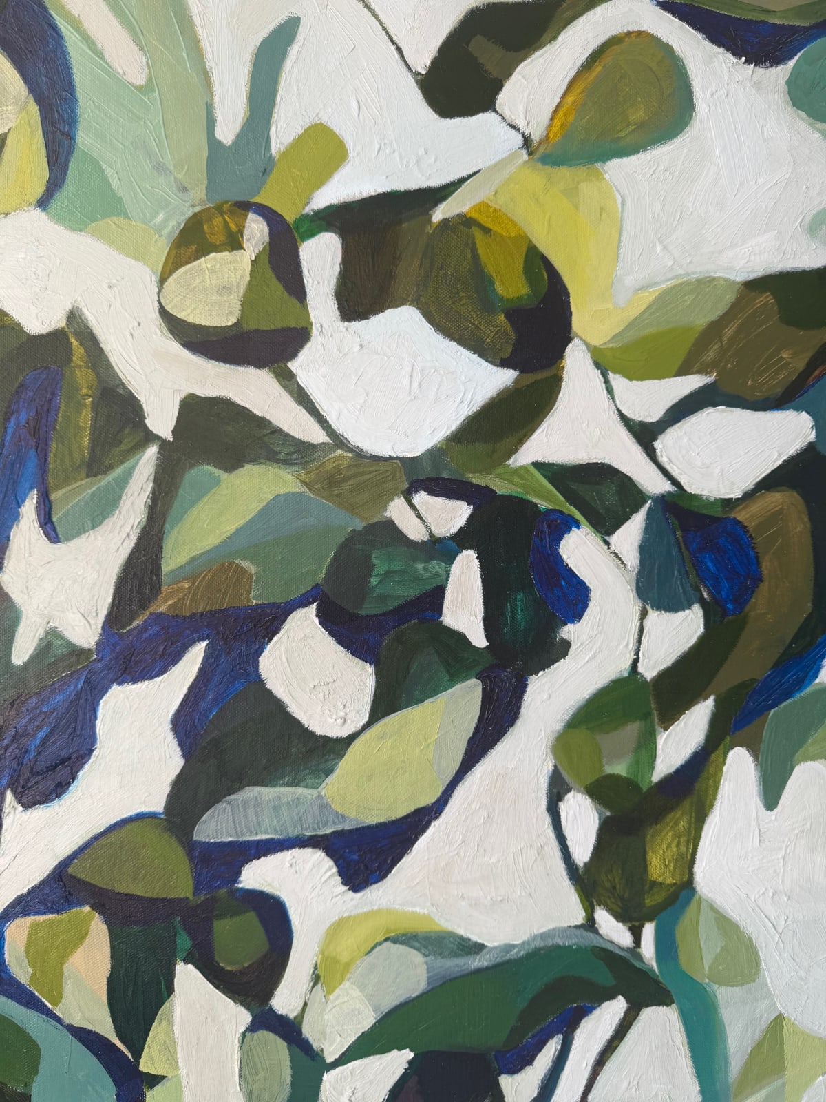 Maria Fletcher, Fig Tree