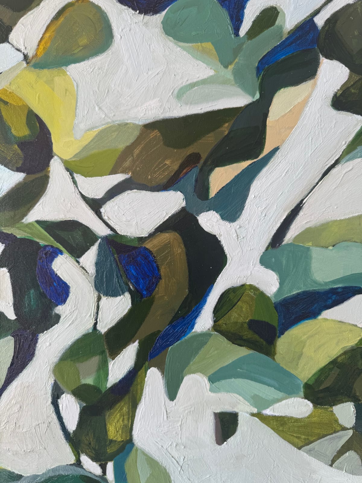 Maria Fletcher, Fig Tree
