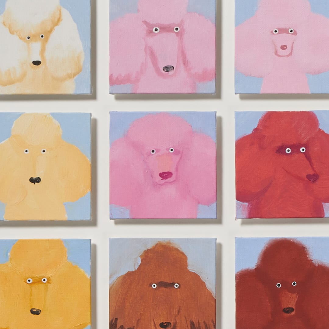 Holly Frean, 49 Poodles