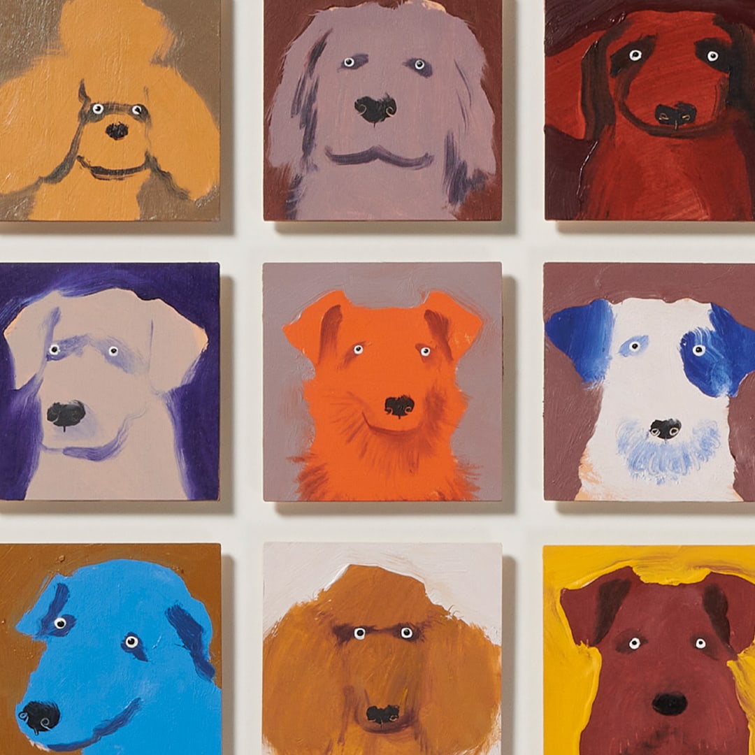 Holly Frean, 49 Dogs (Orange)