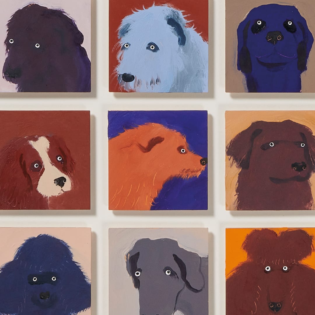 Holly Frean, 49 Dogs (Orange)