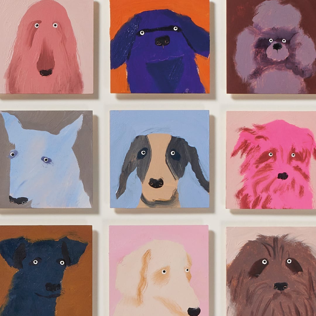 Holly Frean, 49 Dogs (Pink)