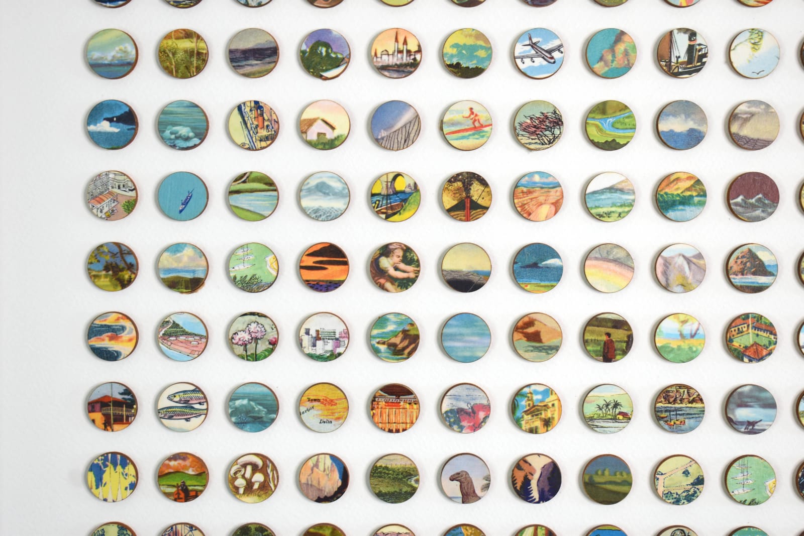 Amelia Coward, Tiny Worlds