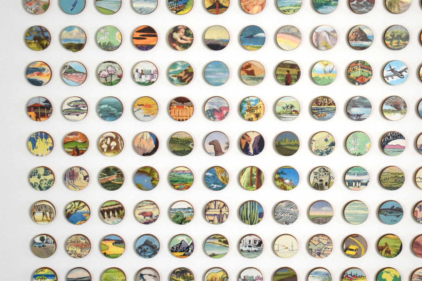 Amelia Coward, Tiny Worlds