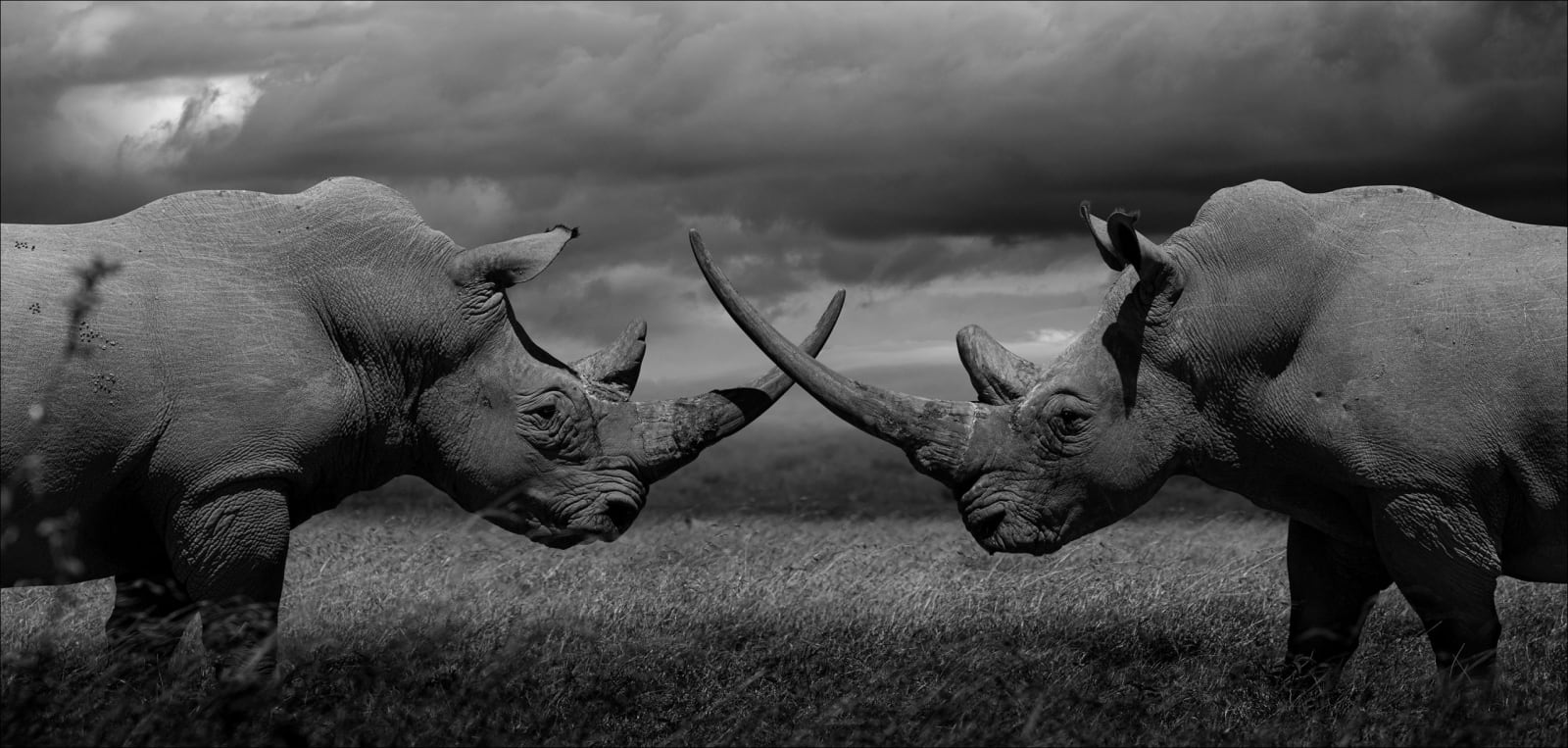 Lars Beusker, Game of Thrones, 2020