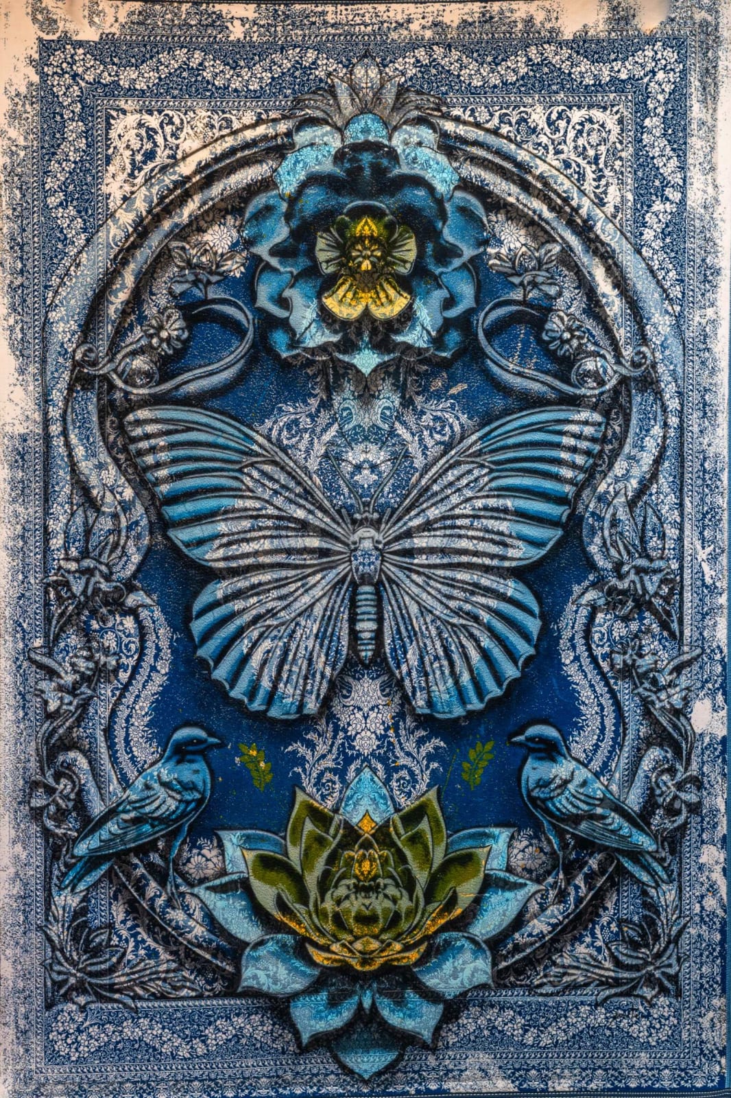 Mateo , LEPIDOPTERA, 2024