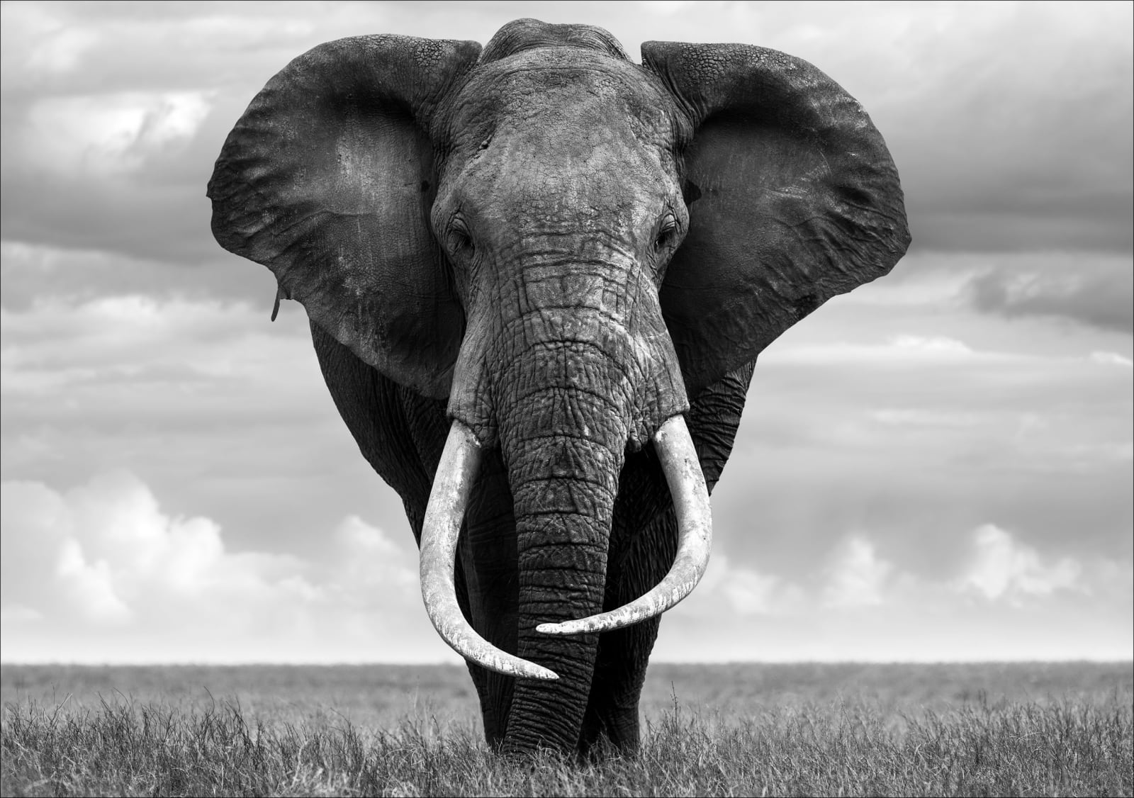 Lars Beusker, Hands Off!, 2020