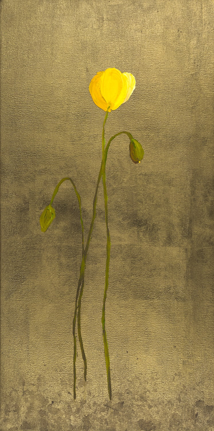 Johnathan Schultz, Remember the Tall, 2024