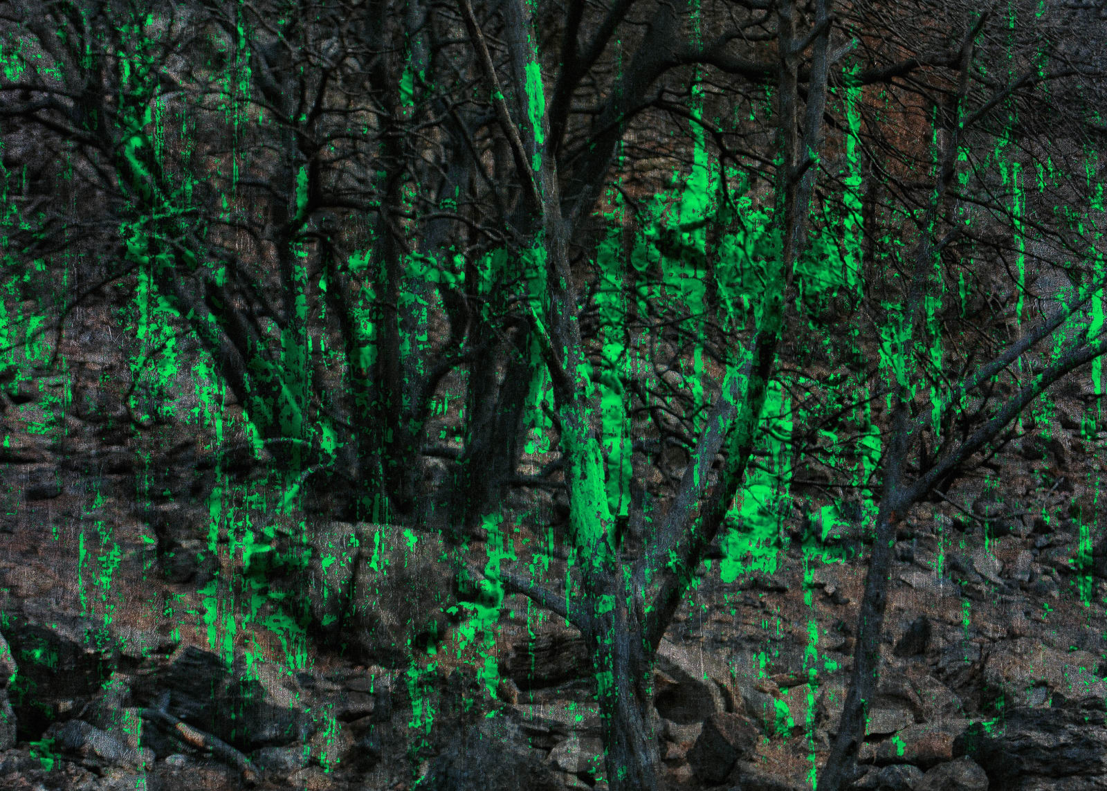 Sebnem Ünlü, Green Grotto, 2022