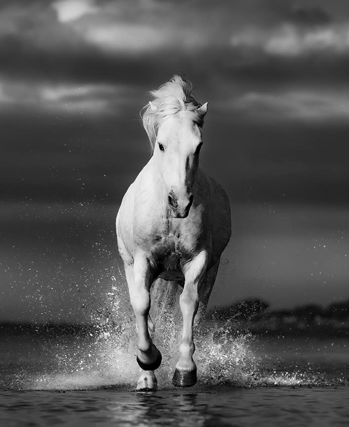Lars Beusker, Cheval Blanc, 2022