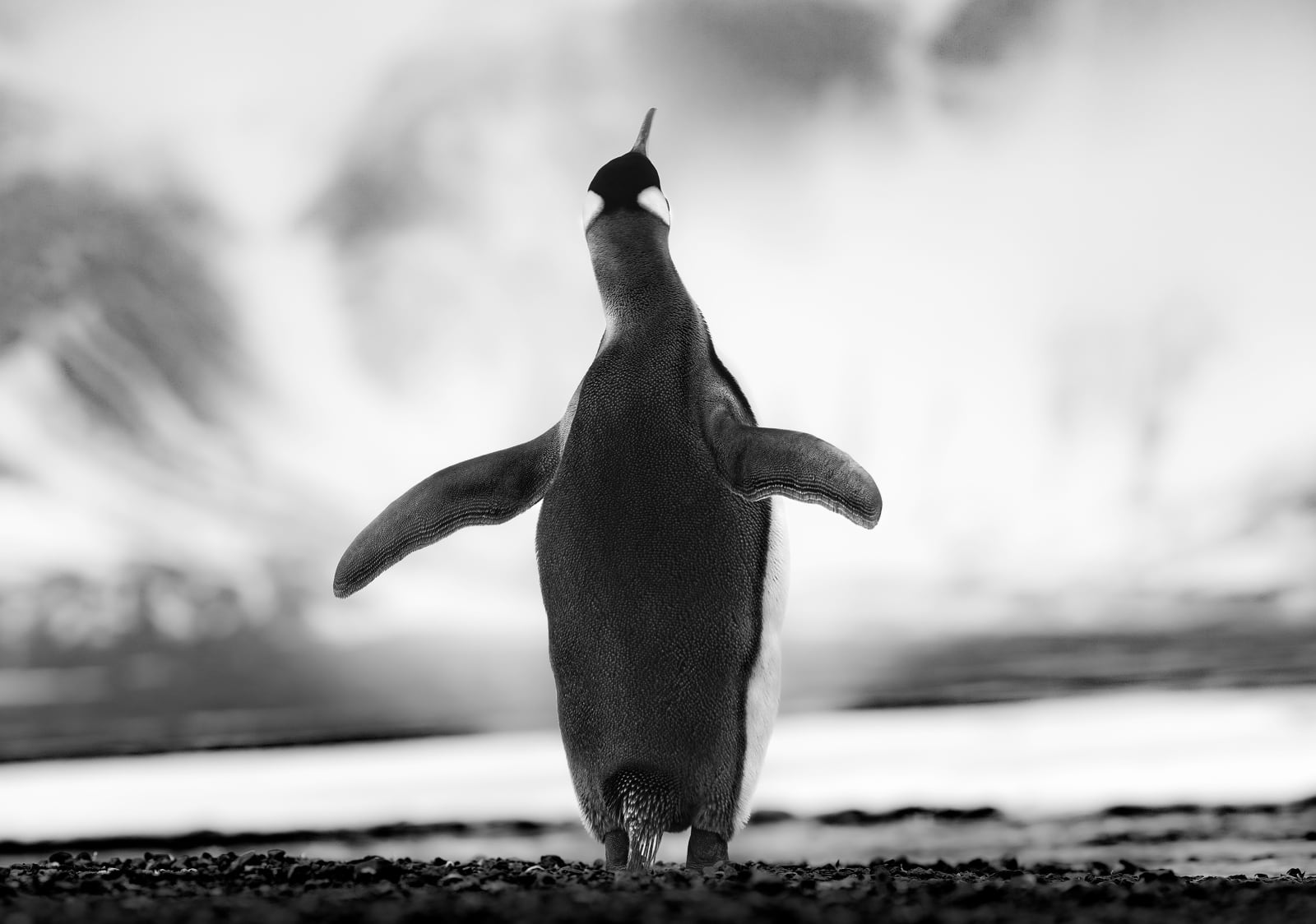 Lars Beusker, I Believe I Can Fly, 2023