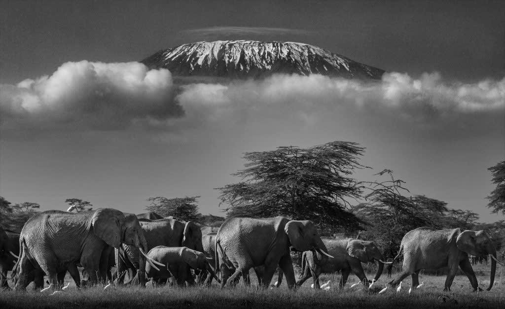 Lars Beusker, Garden Eden, 2023