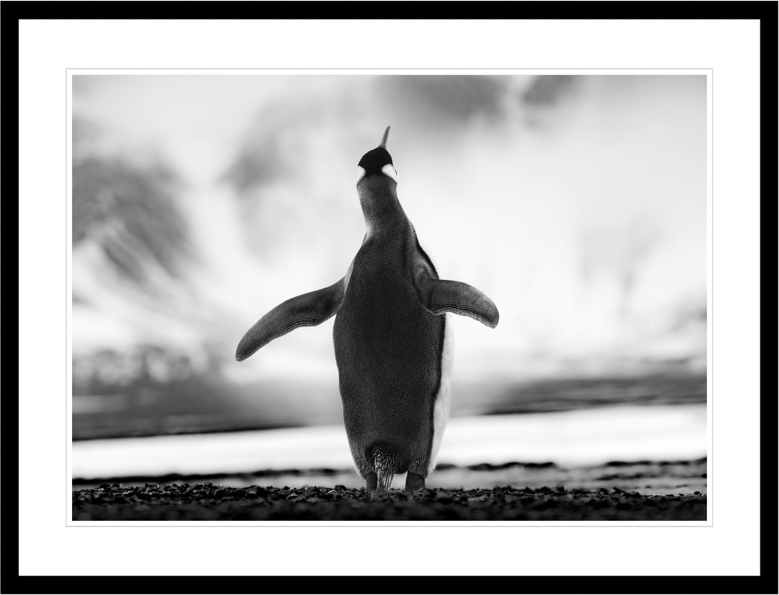 Lars Beusker, I Believe I Can Fly, 2023