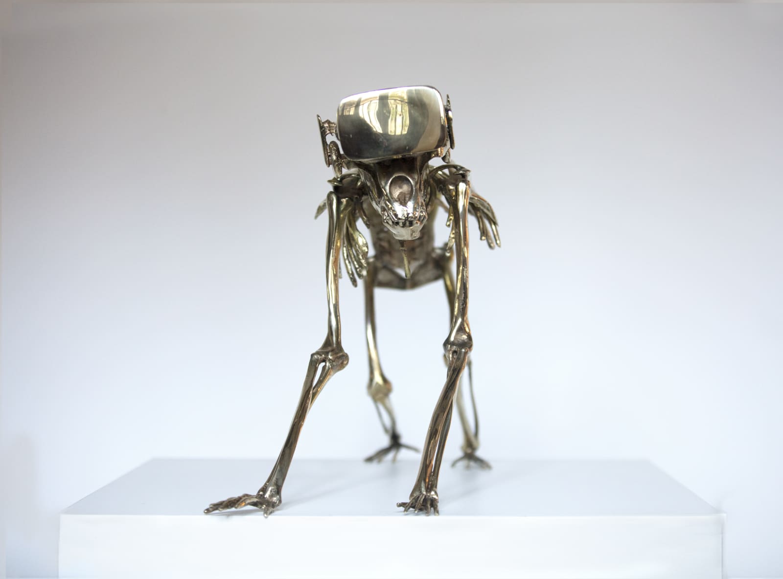 Beto Gatti, Sapiens 2.0 , 2021