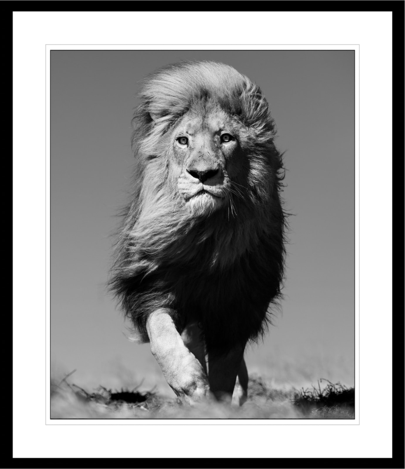 Lars Beusker, Mufasa, 2023