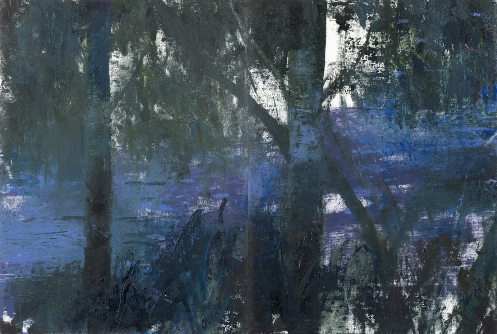 Gareth Edwards, River Dart II, diptych, oil on unstretched canvas, 60 x 89 cm, 2024