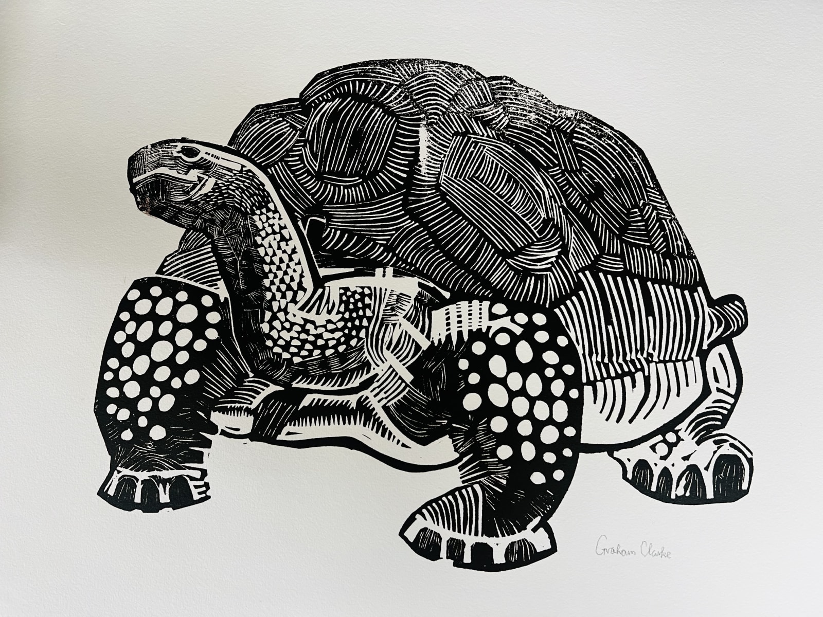 Graham Clarke, Tortoise, 1963