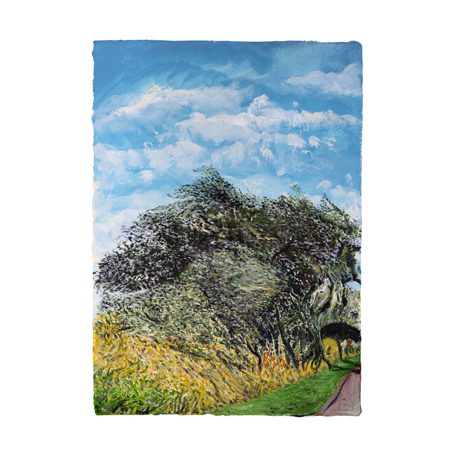 John Corley, Black Poplars in the Wind, 2025